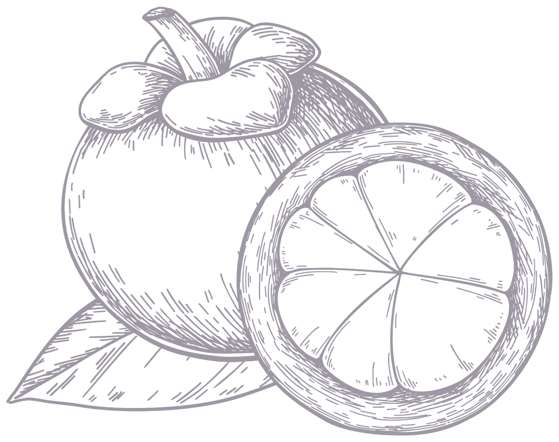 Mangosteen fruit illustration showing six back office functions